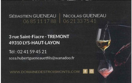 GUENEAU Sébastien et Nicolas