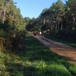 préparation des cross